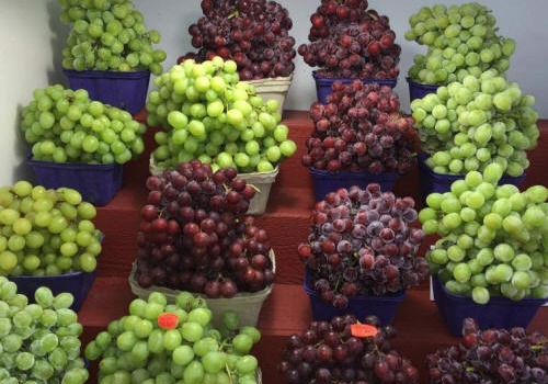Red and Green Seedless Grapes For Sale