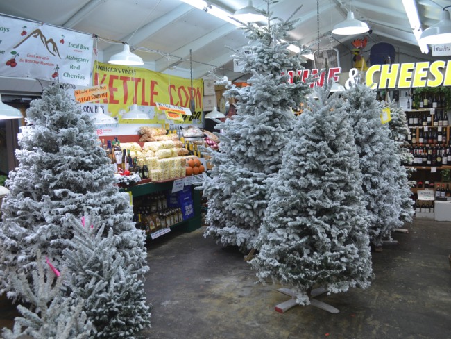 Flocked Christmas Trees